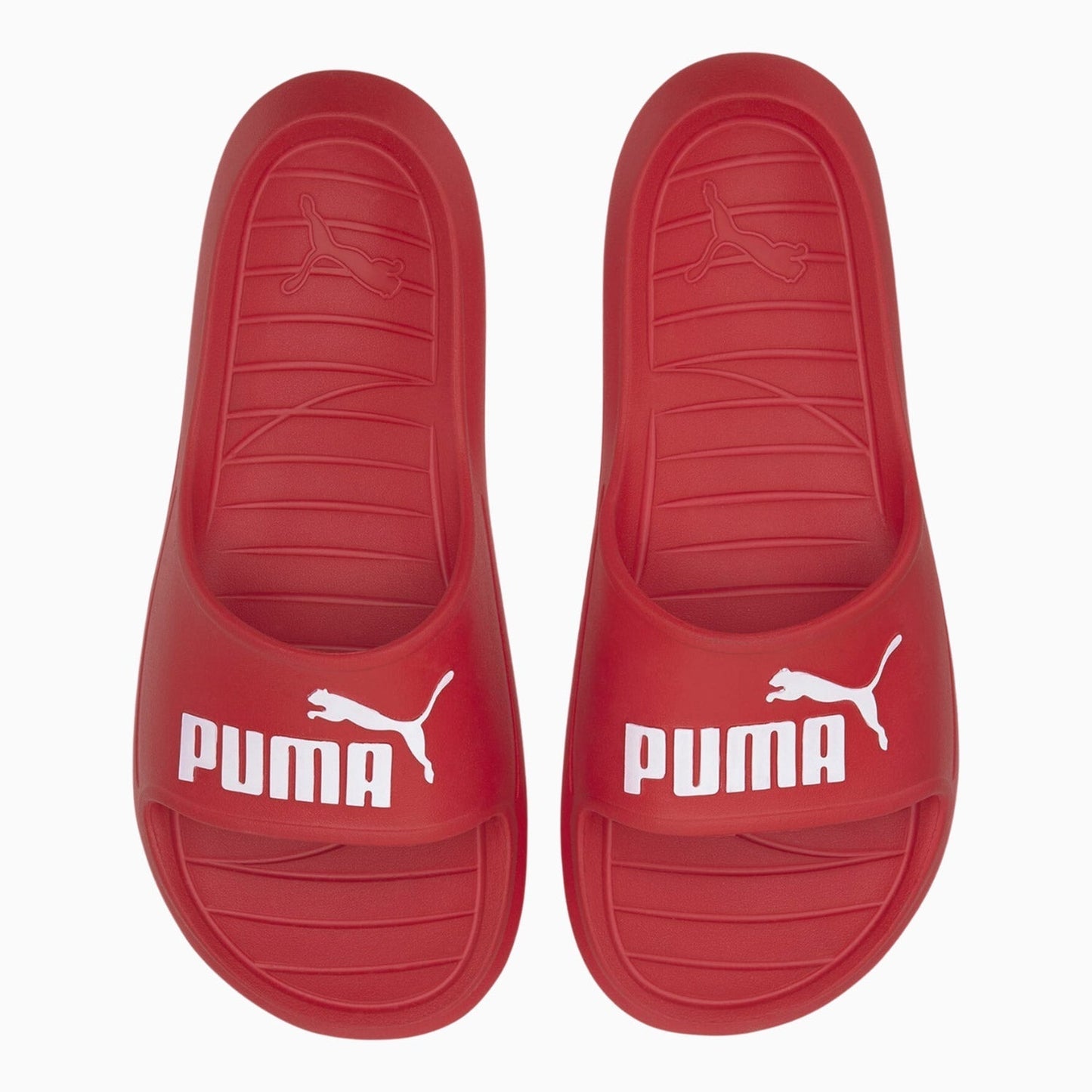 Men's Divecat V2 Slides