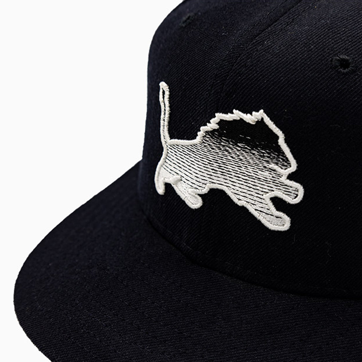 Detroit Lions NFL 59FIFTY Fitted Hat