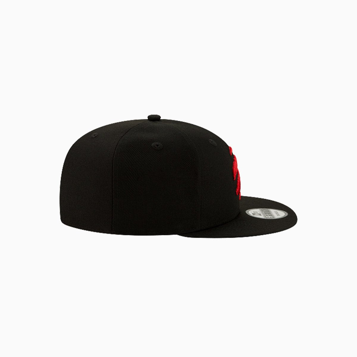 Toronto Raptors Basic NBA 9Fifty Snapback Hat