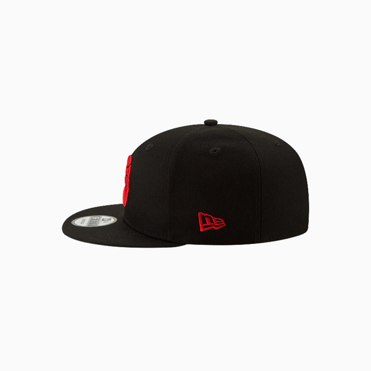 Toronto Raptors Basic NBA 9Fifty Snapback Hat