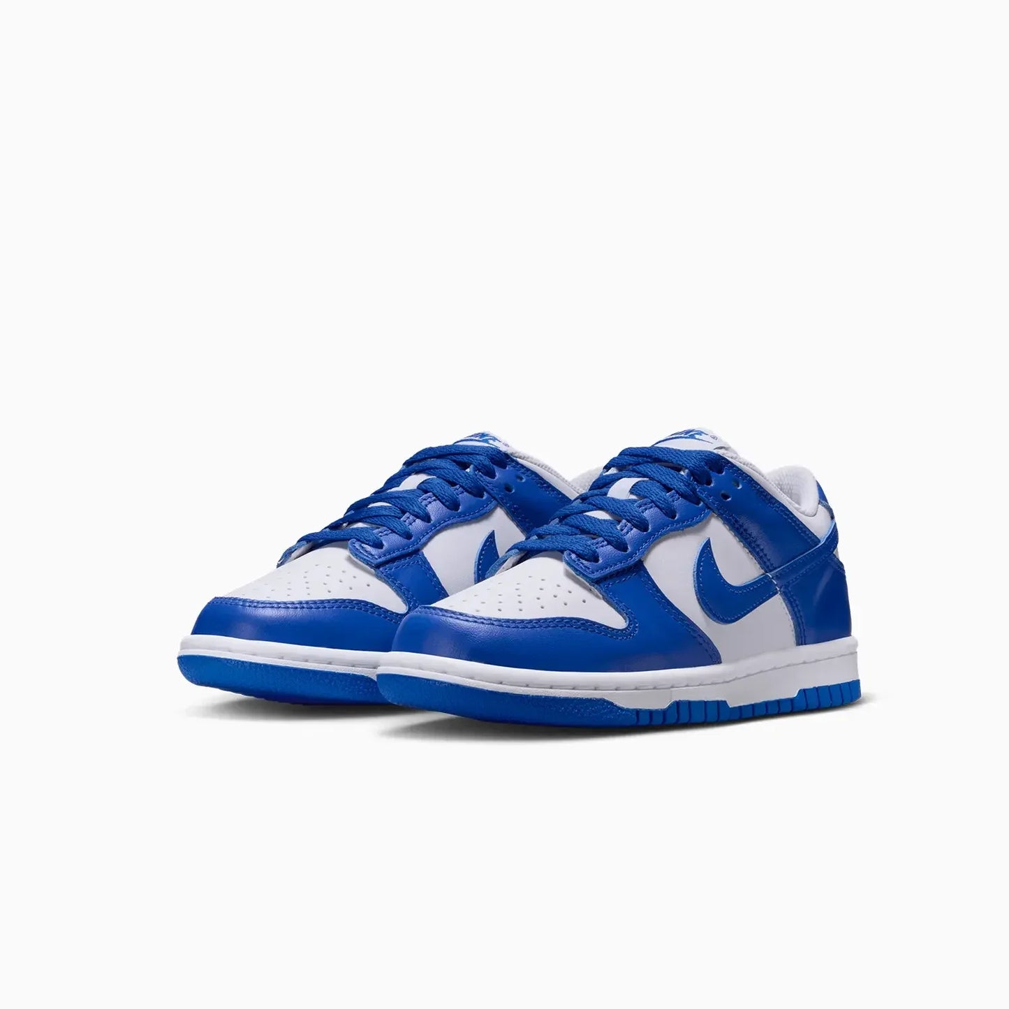 Kid's Dunk Low Grade School