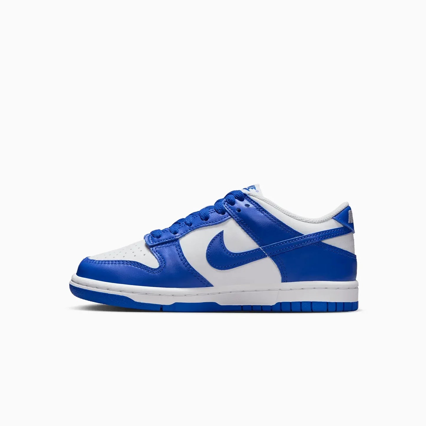 Kid's Dunk Low Grade School