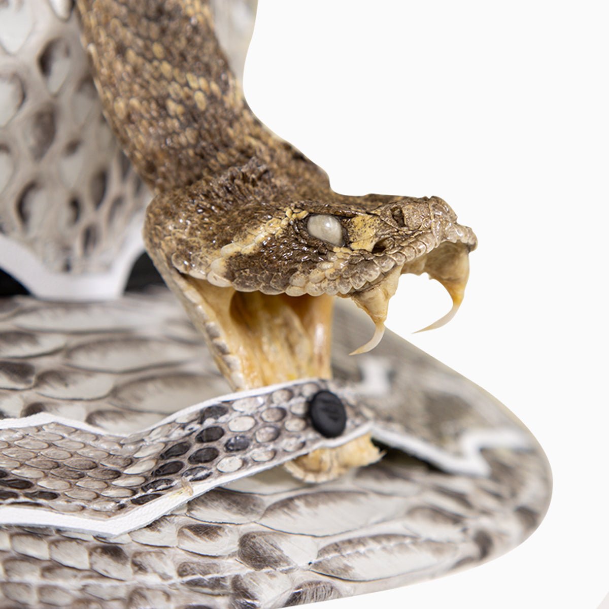 Breyer's Buck 50 Leather Hat with Faux Snake Skin Visor