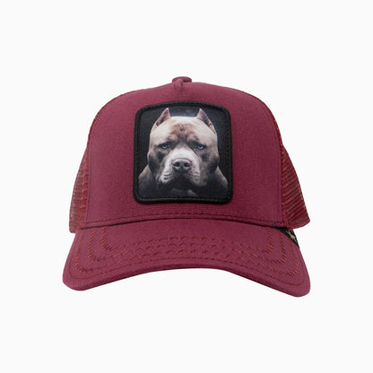 The Pit Bull Burgundy Trucker Hat