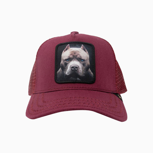 The Pit Bull Burgundy Trucker Hat