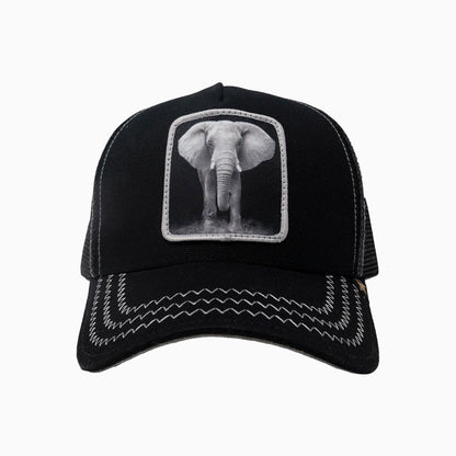 The Elephant Black Trucker Hat