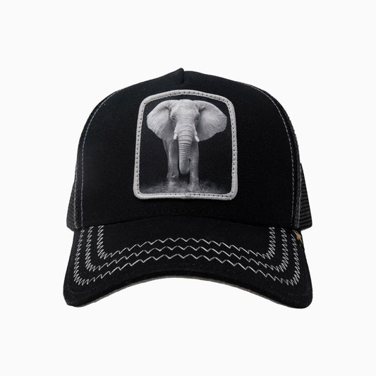 The Elephant Black Trucker Hat