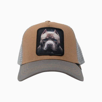 The Pitbull Dog Trucker Hat