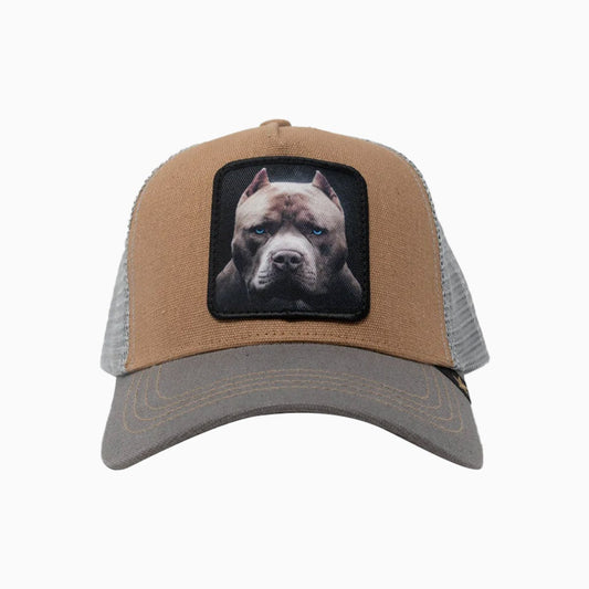 The Pitbull Dog Trucker Hat