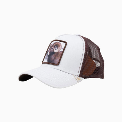 Men's Falcon Trucker Hat