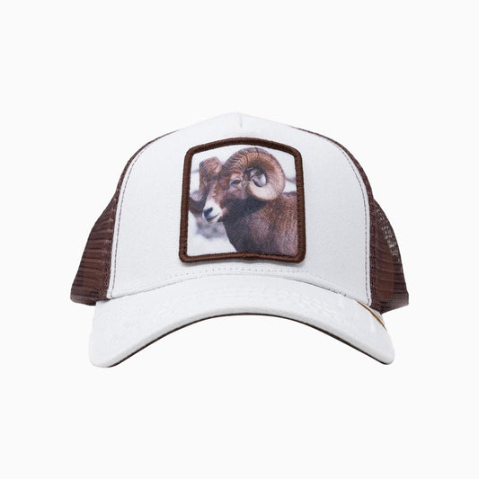 Men's Falcon Trucker Hat
