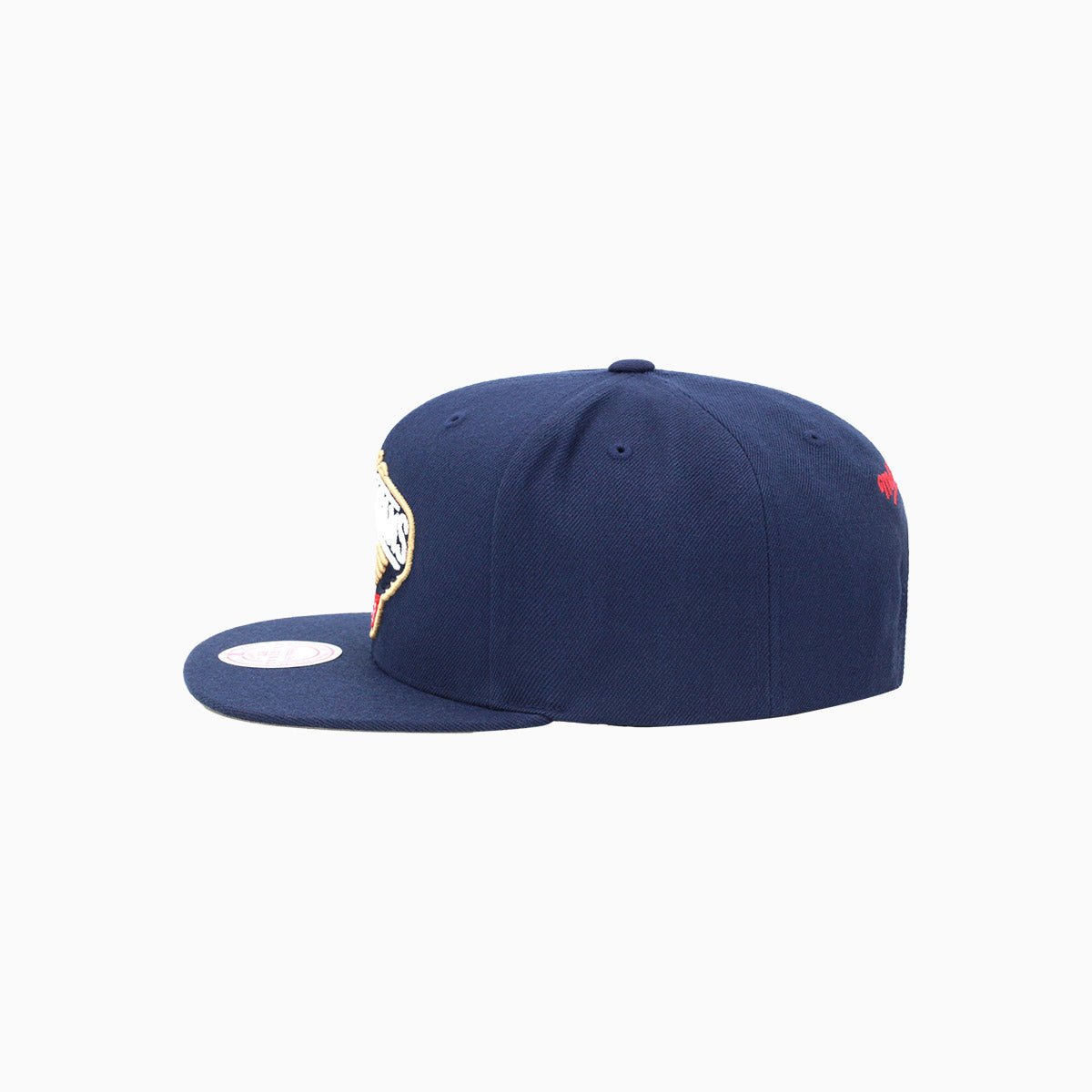 New Orleans Pelicans NBA Snapback Hat