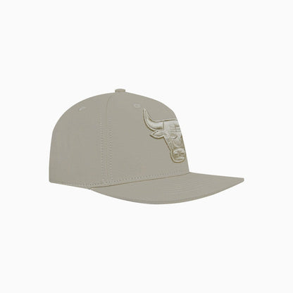 Chicago Bulls Neutral NBA Wool Snapback Hat