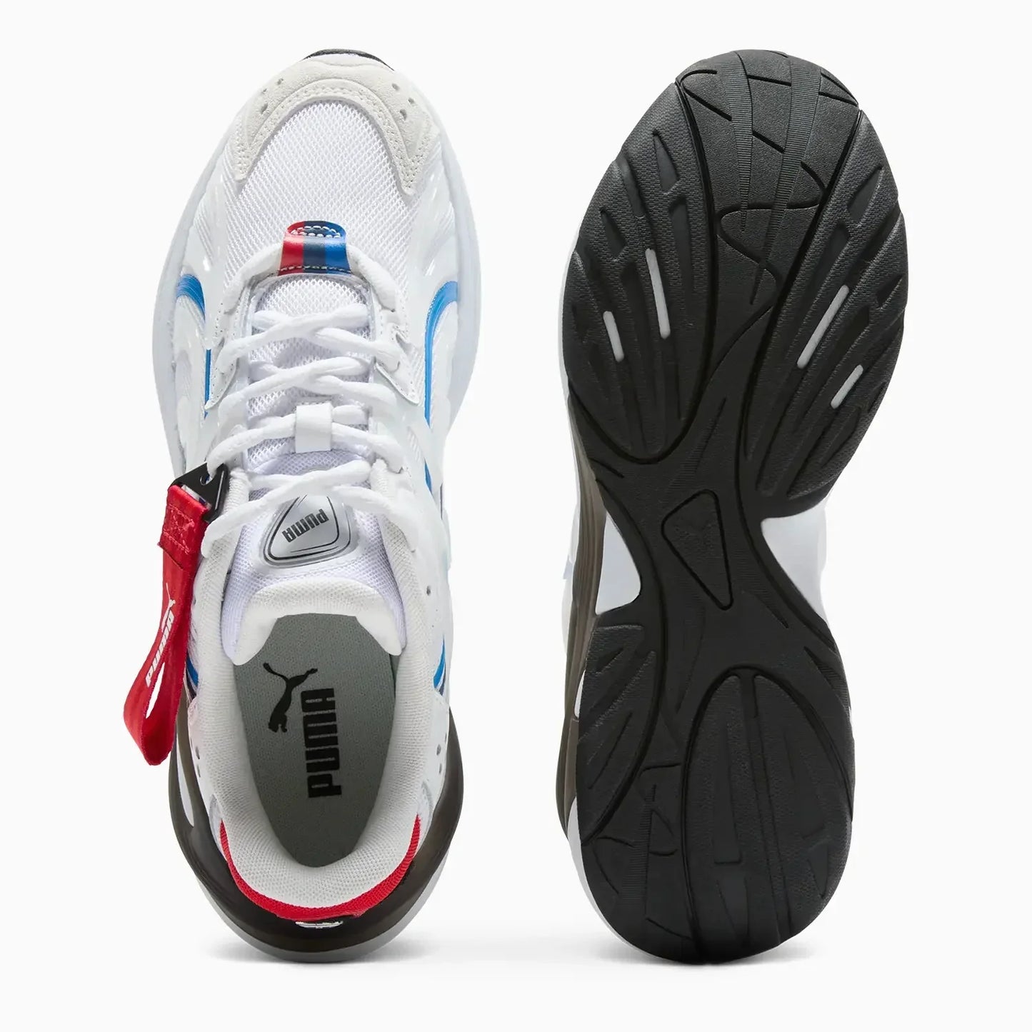 Men's BMW Motorsport Inverse